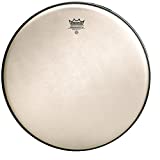 McK - Remo Renaissance Ambassador Batter 16