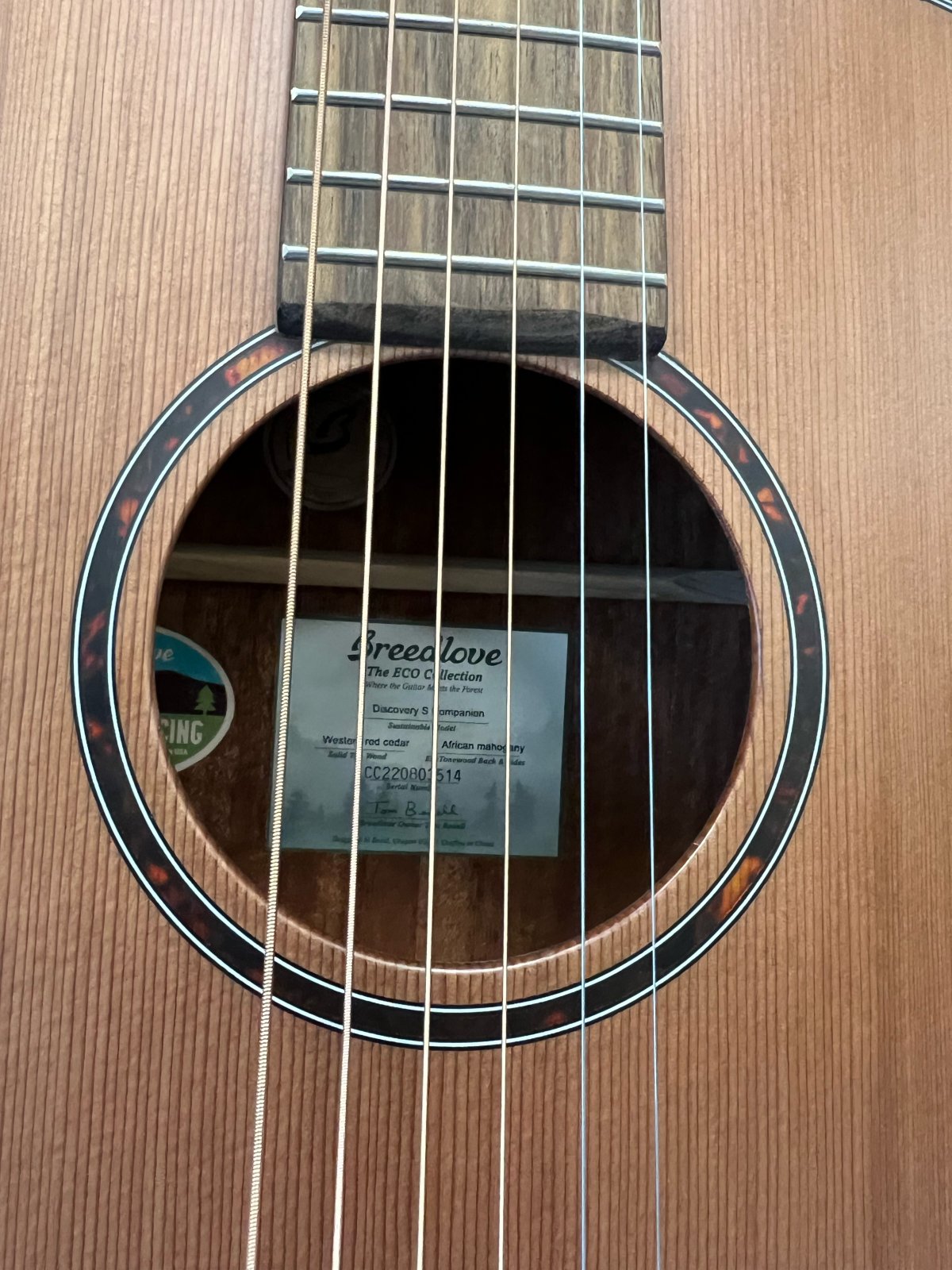 LIKE NEW Breedlove Discovery Companion, Natural
