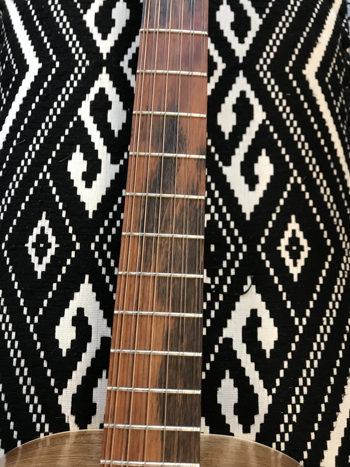 EGB Custom 12-String Acoustic Guitar