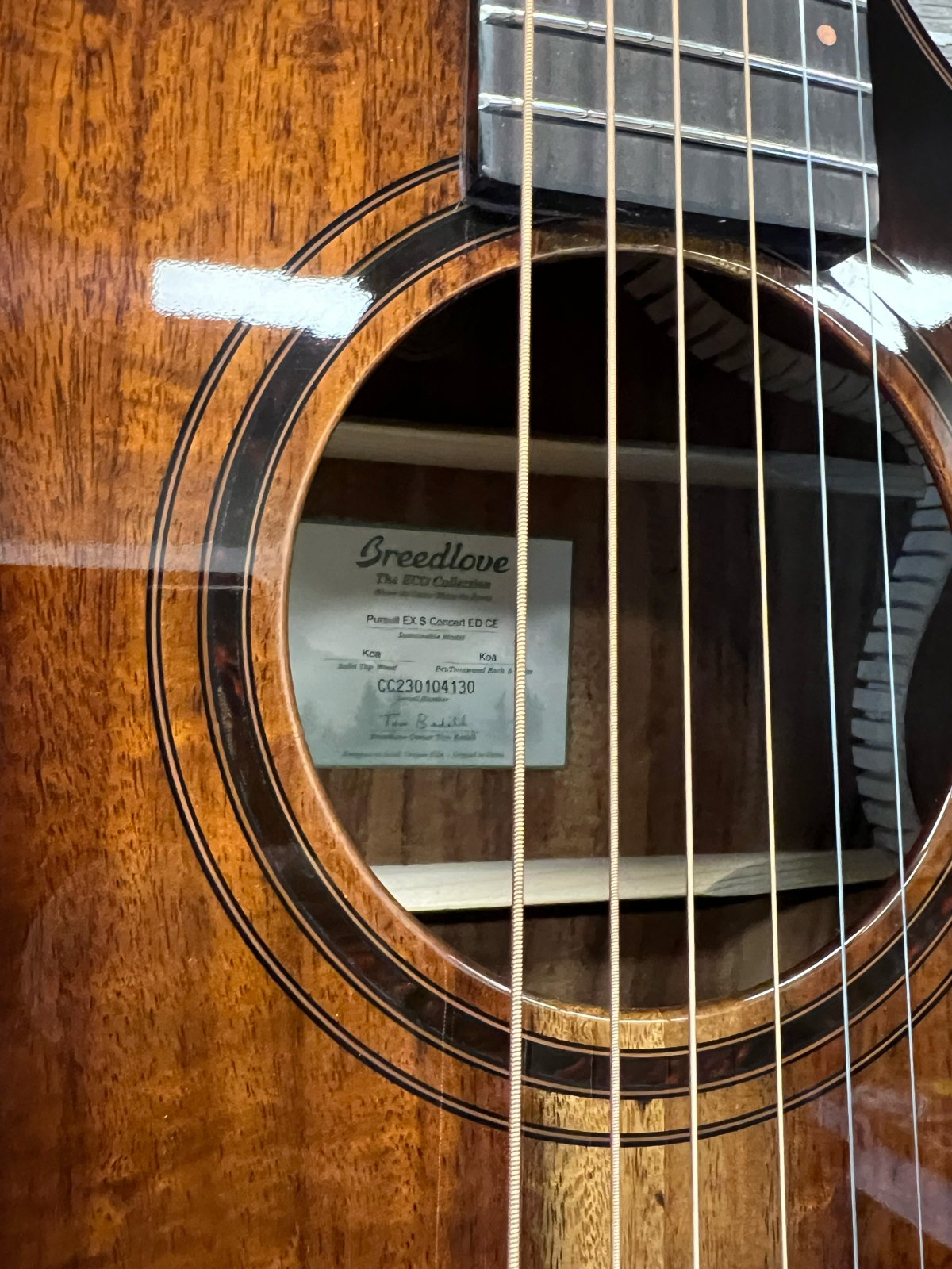 Breedlove Pursuit Exotic S Concert Edgeburst CE, Koa