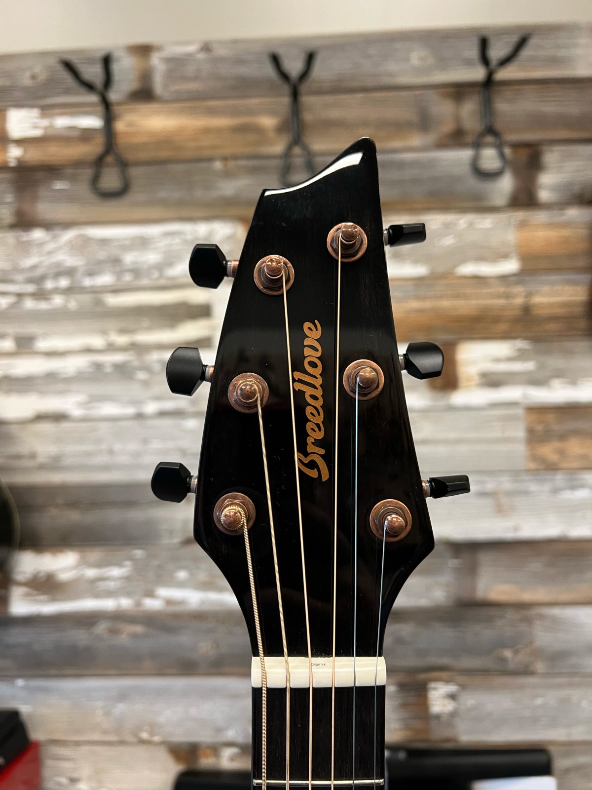 Breedlove Pursuit Exotic S Concert Edgeburst CE, Koa