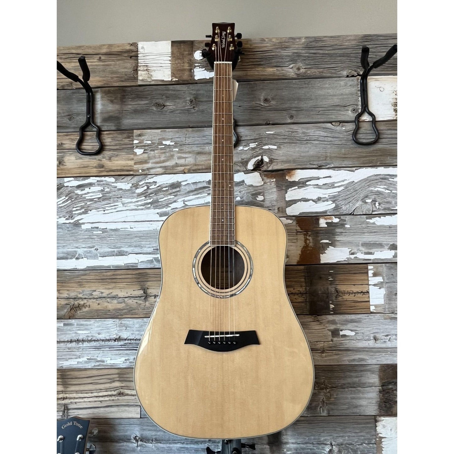 Wood Song D-NA Dreadnought Acoustic Guitar w/ gig bag