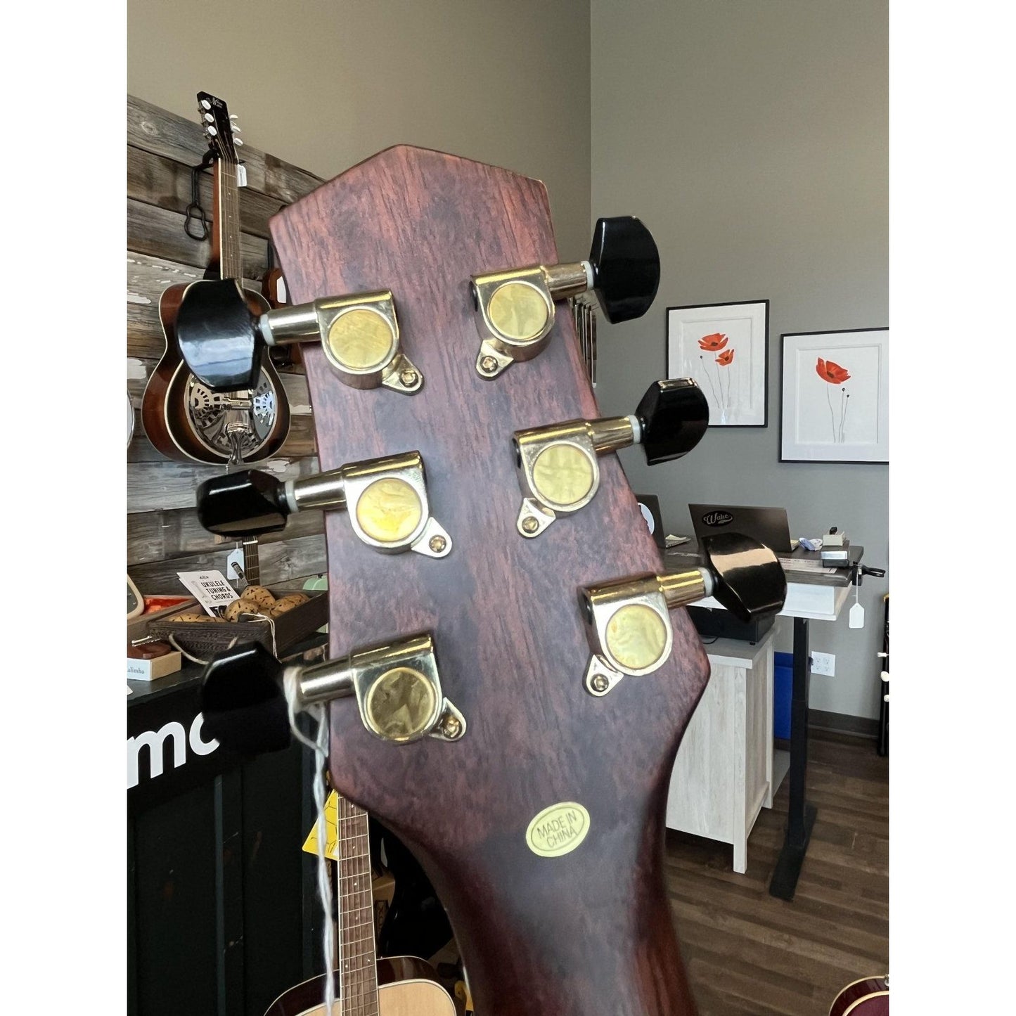 Wood Song D-NA Dreadnought Acoustic Guitar w/ gig bag