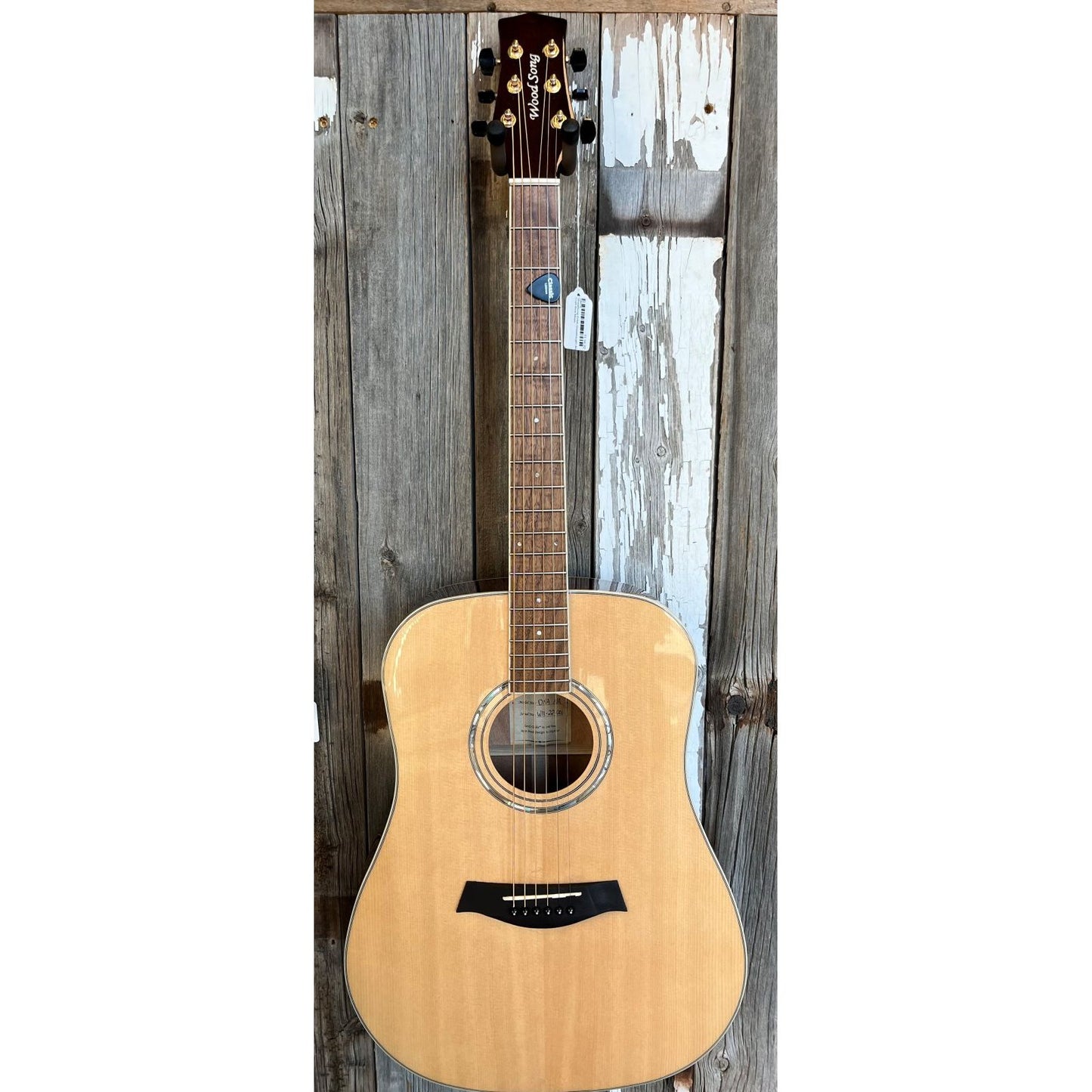 Wood Song D-NA Dreadnought Acoustic Guitar w/ gig bag